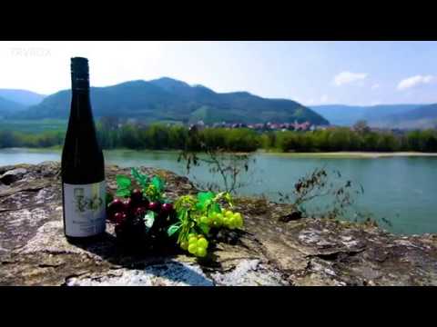 Wineries Bike tour from Vienna to Wachau, Austria - Traveling outside the box