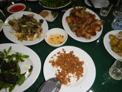Exotic and unforgettable snake meal in the Snake Village Hanoi, Vietnam