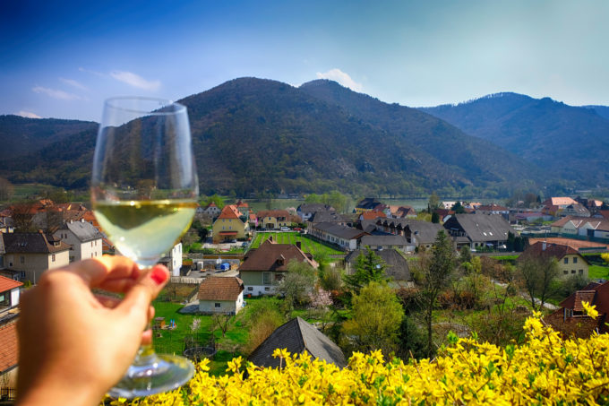 Bike Tour from Vienna – Wonderous bike tour among wineries in the Wachau valley
