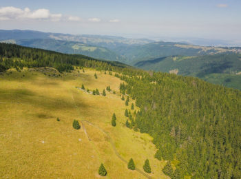 Hiking in the Cindrel mountains, in the Sibiu district, Romania