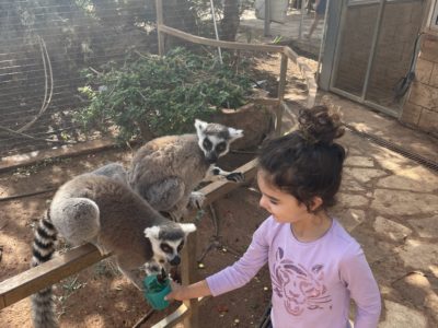 What to do in Paphos with kids – recommendations for attractions for children in Paphos, Cyprus